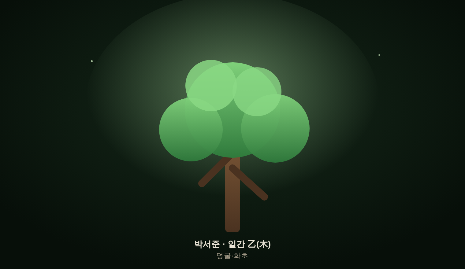 박서준 · 일간 乙(木) — 덩굴·화초