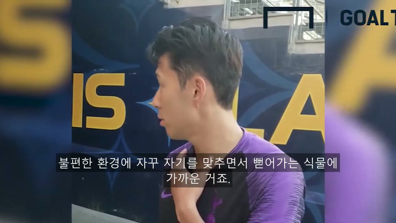 손흥민 사주 풀이 — 을목 일간과 대운 흐름