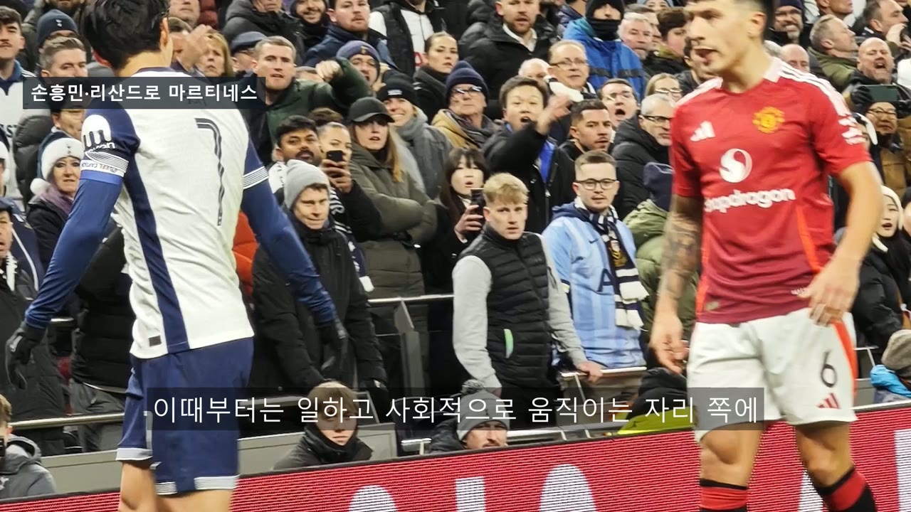 손흥민·리산드로 마르티네스